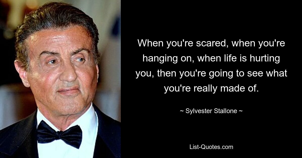 When you're scared, when you're hanging on, when life is hurting you, then you're going to see what you're really made of. — © Sylvester Stallone