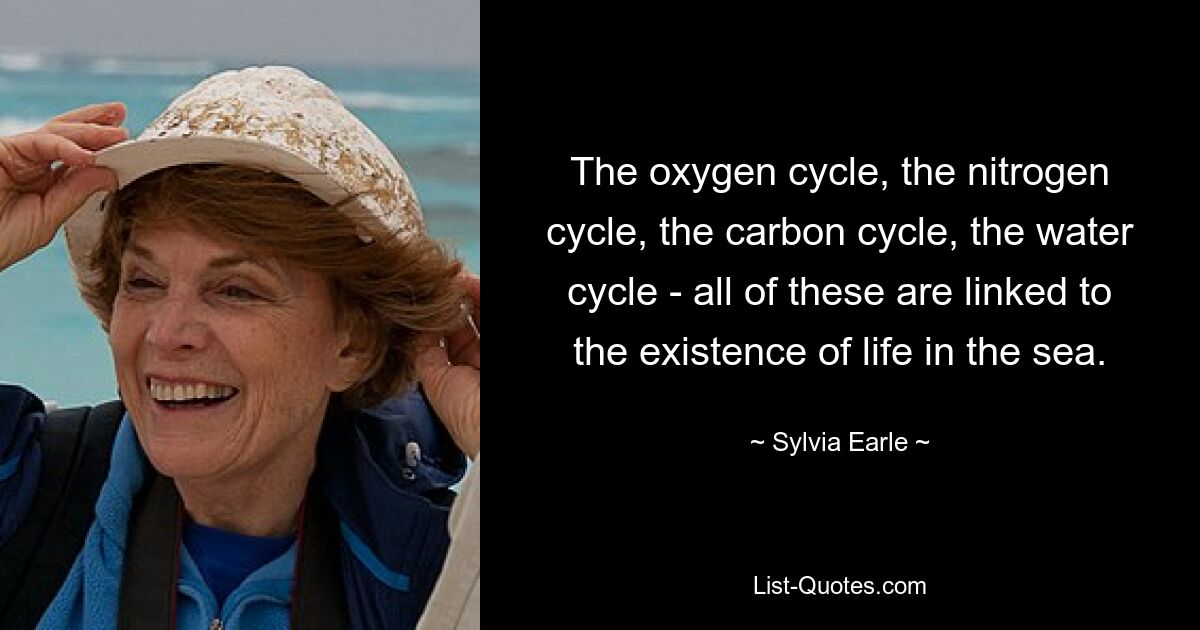 The oxygen cycle, the nitrogen cycle, the carbon cycle, the water cycle - all of these are linked to the existence of life in the sea. — © Sylvia Earle