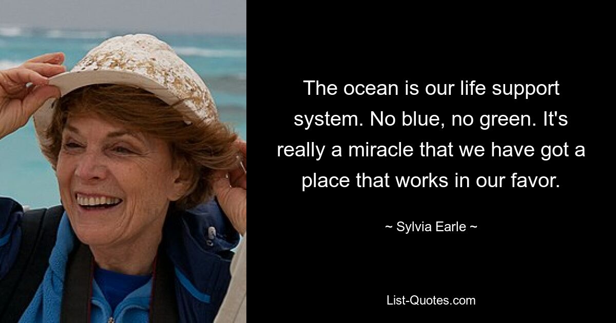 The ocean is our life support system. No blue, no green. It's really a miracle that we have got a place that works in our favor. — © Sylvia Earle