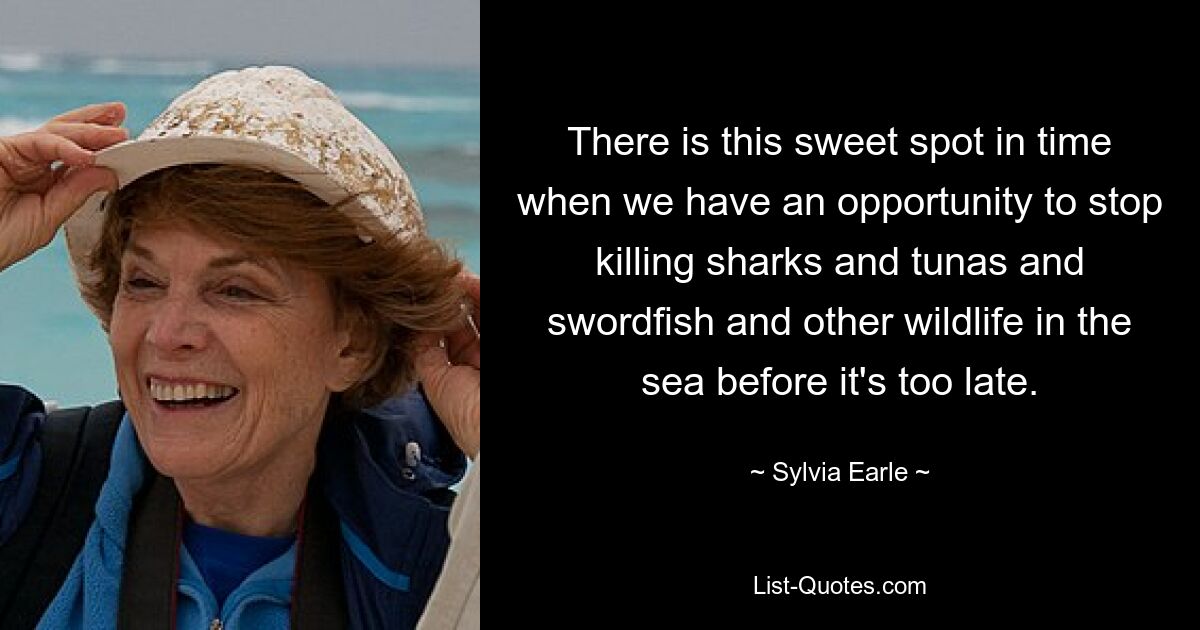 There is this sweet spot in time when we have an opportunity to stop killing sharks and tunas and swordfish and other wildlife in the sea before it's too late. — © Sylvia Earle