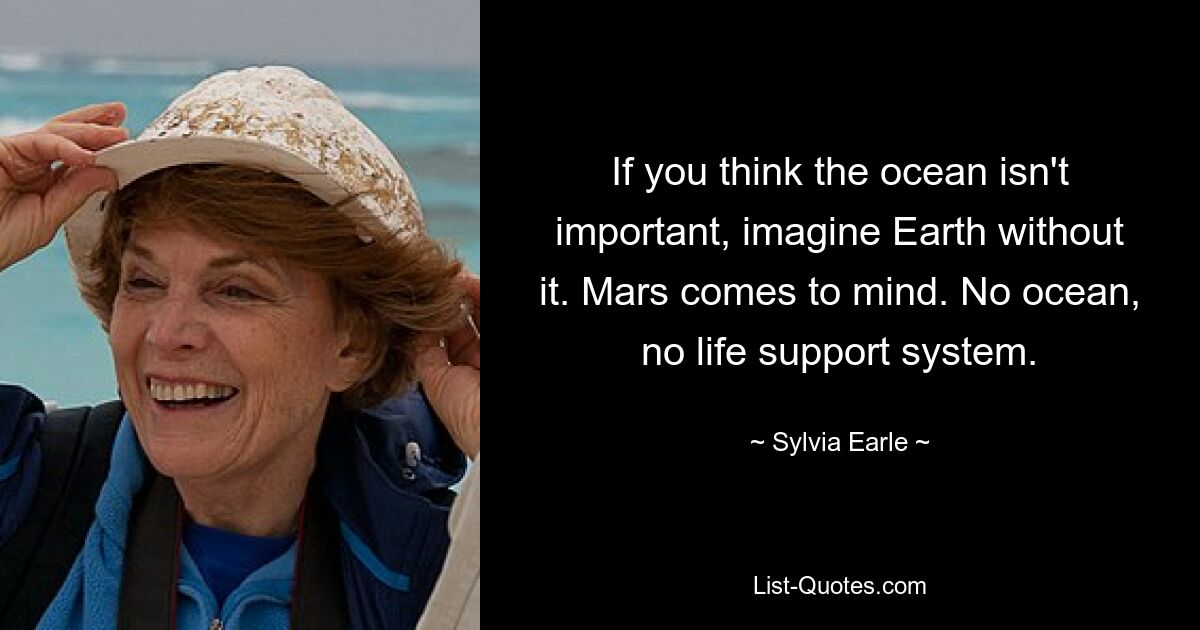 If you think the ocean isn't important, imagine Earth without it. Mars comes to mind. No ocean, no life support system. — © Sylvia Earle