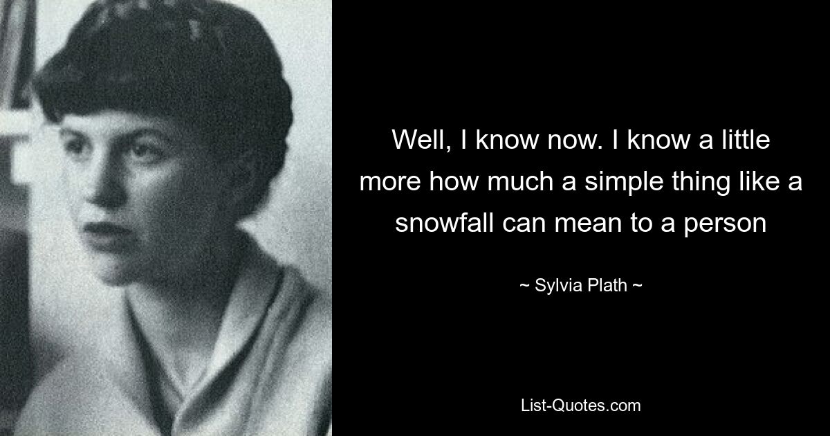 Well, I know now. I know a little more how much a simple thing like a snowfall can mean to a person — © Sylvia Plath