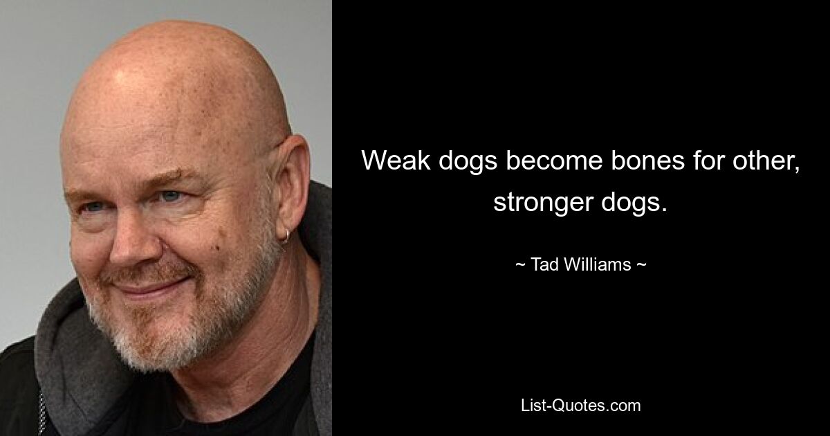 Weak dogs become bones for other, stronger dogs. — © Tad Williams