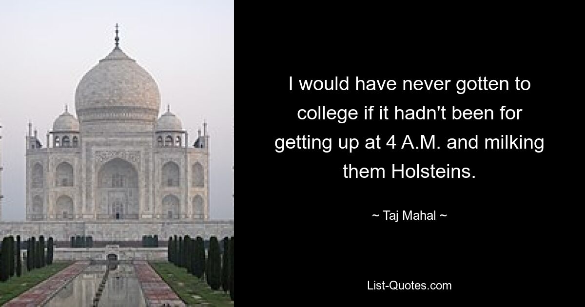 I would have never gotten to college if it hadn't been for getting up at 4 A.M. and milking them Holsteins. — © Taj Mahal