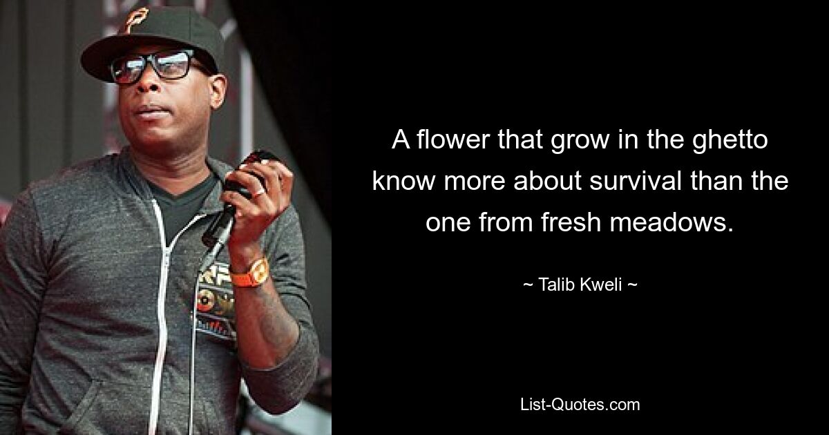 A flower that grow in the ghetto know more about survival than the one from fresh meadows. — © Talib Kweli