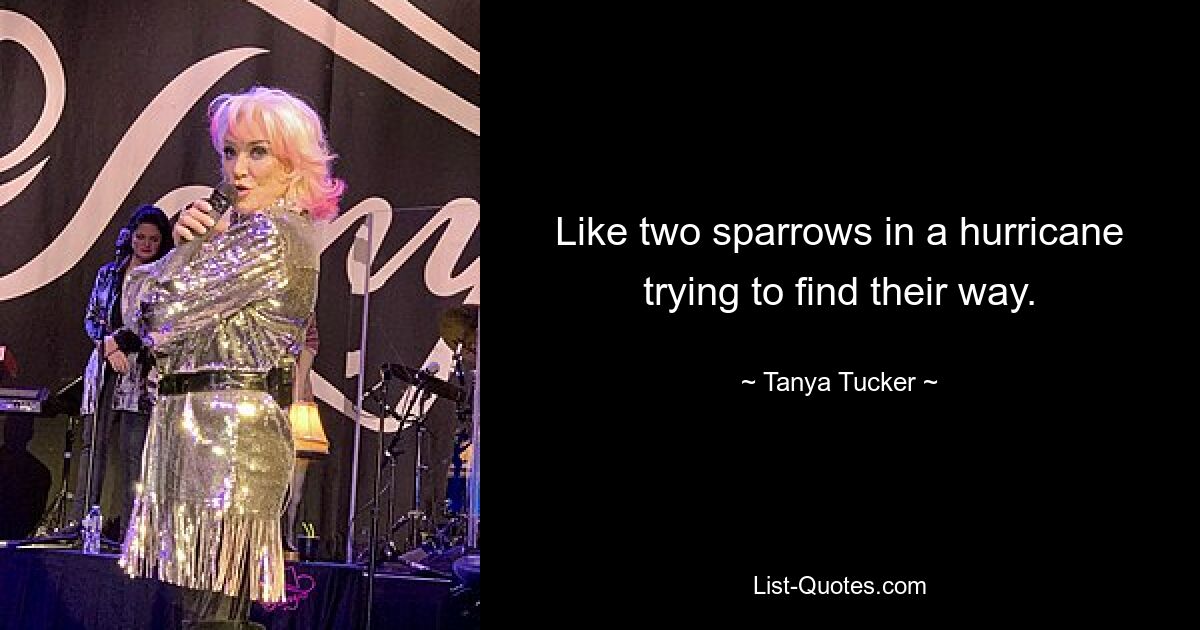 Like two sparrows in a hurricane trying to find their way. — © Tanya Tucker