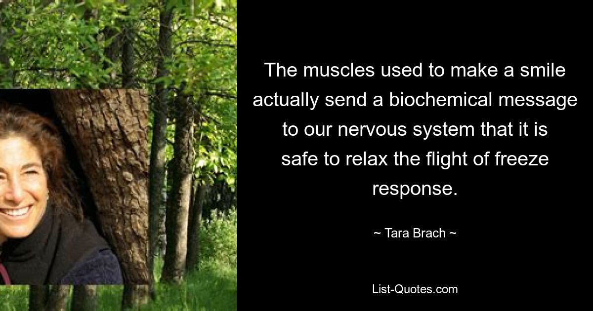 The muscles used to make a smile actually send a biochemical message to our nervous system that it is safe to relax the flight of freeze response. — © Tara Brach