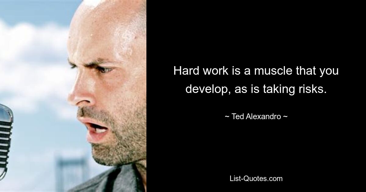 Hard work is a muscle that you develop, as is taking risks. — © Ted Alexandro