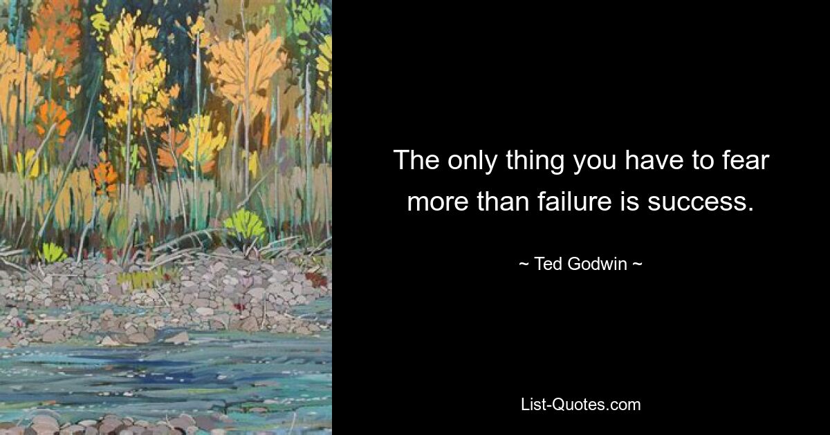 The only thing you have to fear more than failure is success. — © Ted Godwin