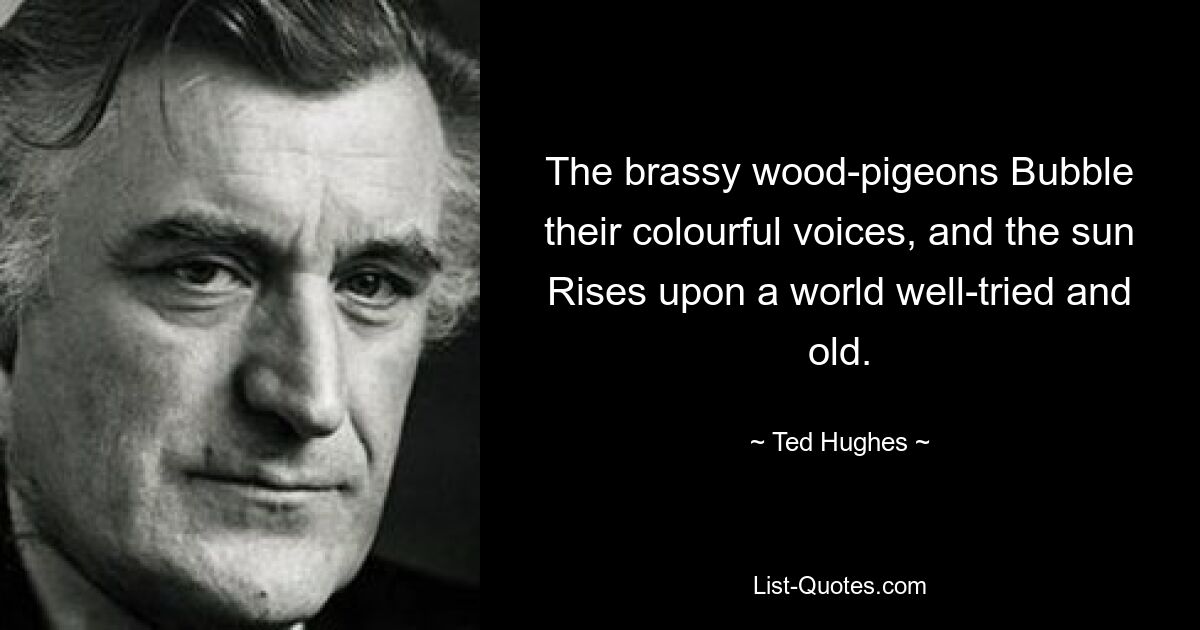 The brassy wood-pigeons Bubble their colourful voices, and the sun Rises upon a world well-tried and old. — © Ted Hughes