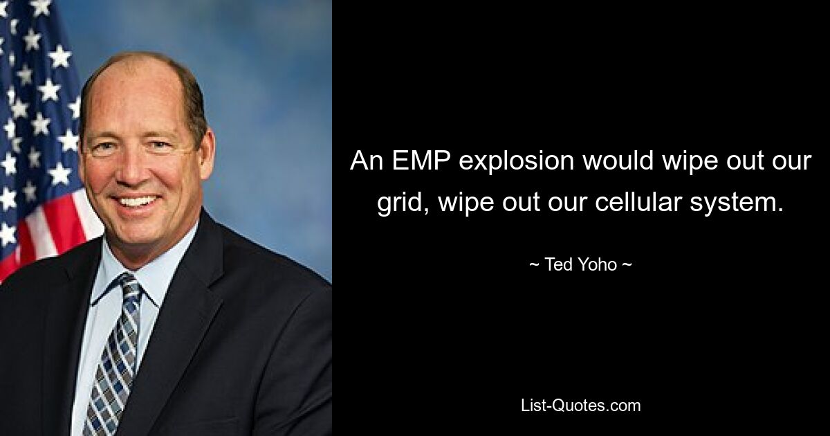 An EMP explosion would wipe out our grid, wipe out our cellular system. — © Ted Yoho