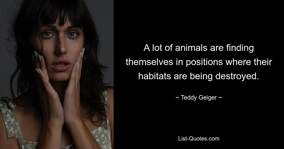 A lot of animals are finding themselves in positions where their habitats are being destroyed. — © Teddy Geiger