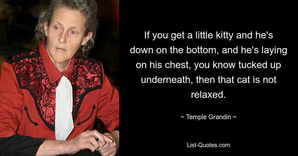 If you get a little kitty and he's down on the bottom, and he's laying on his chest, you know tucked up underneath, then that cat is not relaxed. — © Temple Grandin