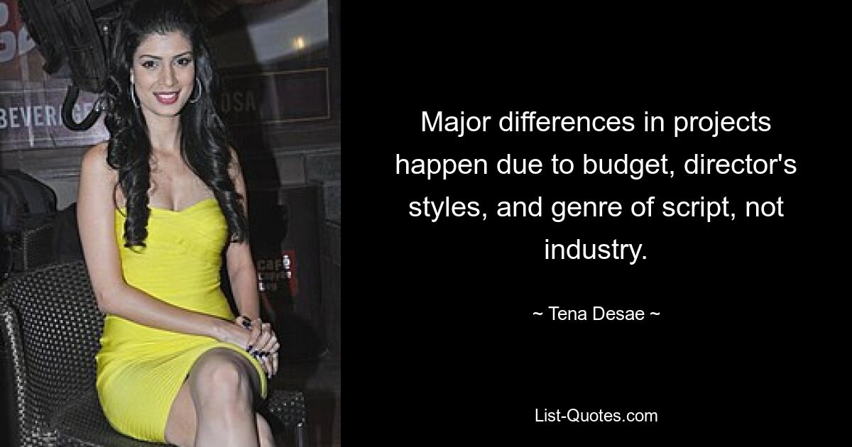 Major differences in projects happen due to budget, director's styles, and genre of script, not industry. — © Tena Desae