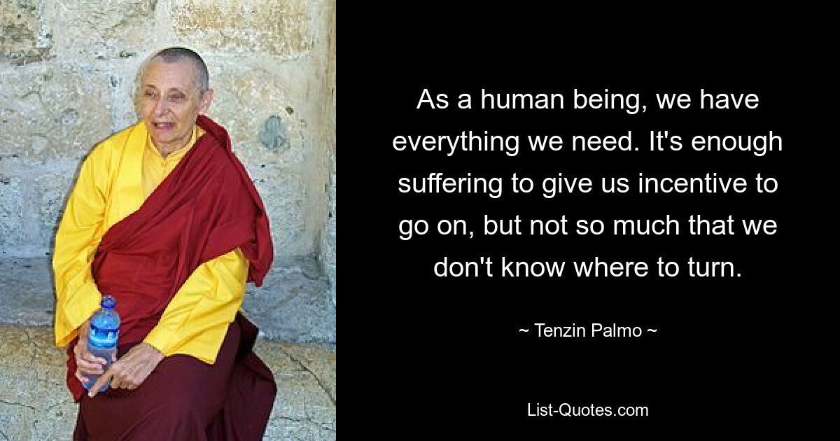 As a human being, we have everything we need. It's enough suffering to give us incentive to go on, but not so much that we don't know where to turn. — © Tenzin Palmo