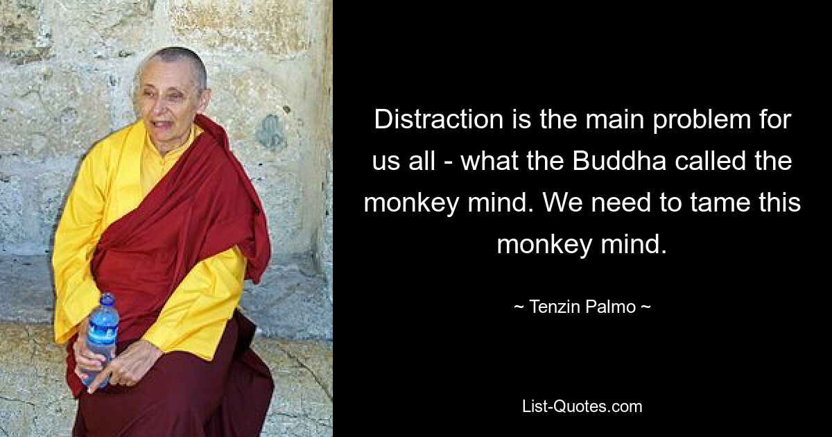 Distraction is the main problem for us all - what the Buddha called the monkey mind. We need to tame this monkey mind. — © Tenzin Palmo