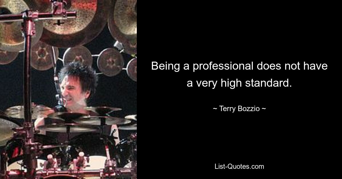 Being a professional does not have a very high standard. — © Terry Bozzio