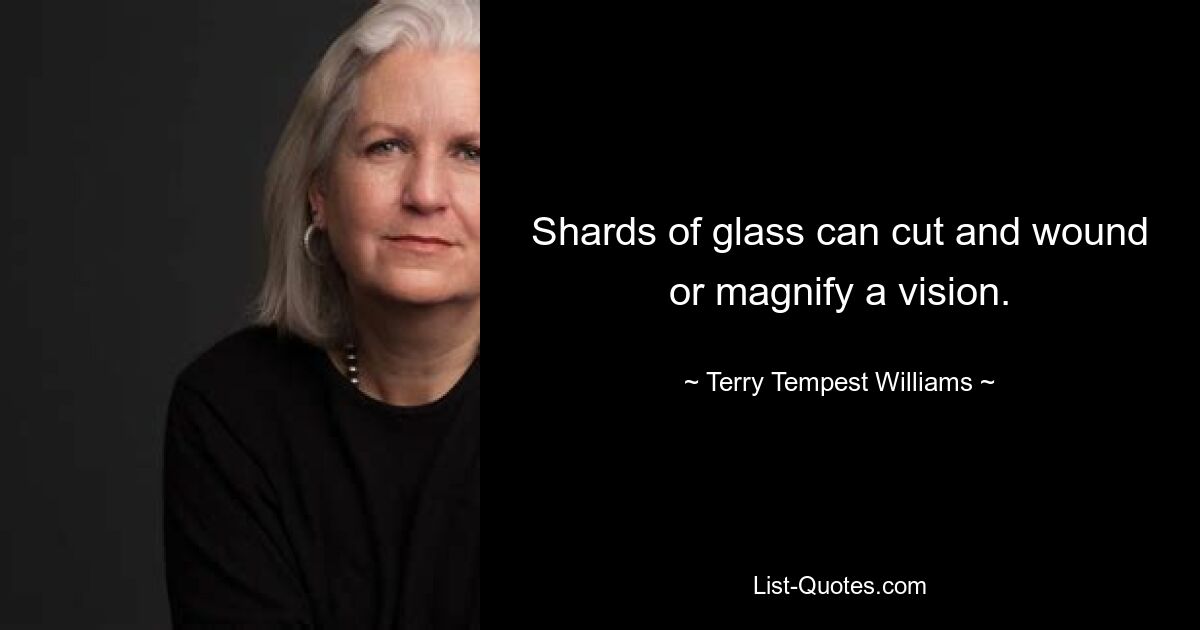 Shards of glass can cut and wound or magnify a vision. — © Terry Tempest Williams