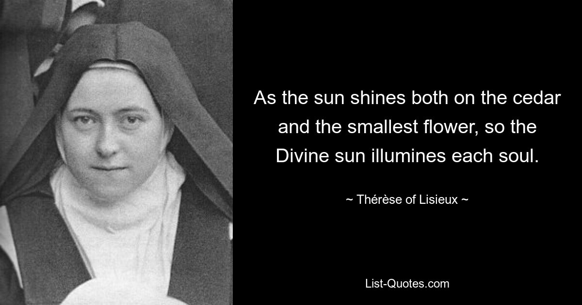 As the sun shines both on the cedar and the smallest flower, so the Divine sun illumines each soul. — © Thérèse of Lisieux