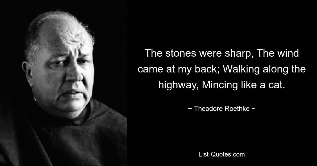 The stones were sharp, The wind came at my back; Walking along the highway, Mincing like a cat. — © Theodore Roethke