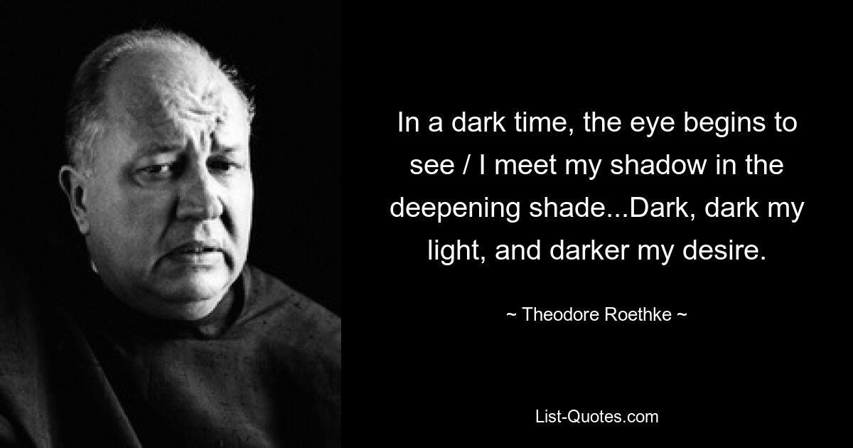 In a dark time, the eye begins to see / I meet my shadow in the deepening shade...Dark, dark my light, and darker my desire. — © Theodore Roethke