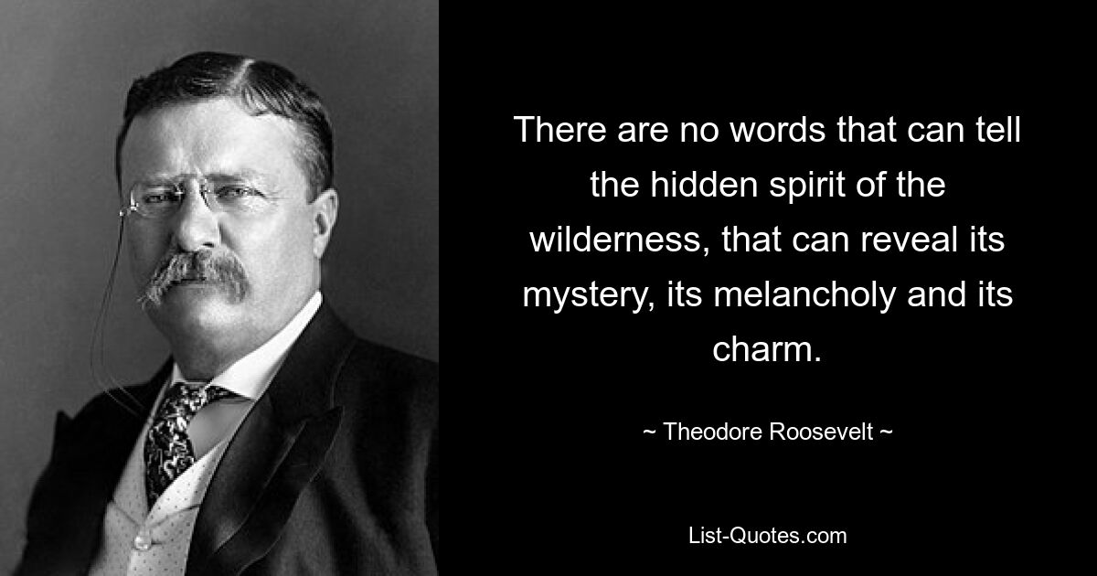 There are no words that can tell the hidden spirit of the wilderness, that can reveal its mystery, its melancholy and its charm. — © Theodore Roosevelt