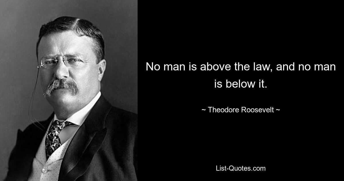 No man is above the law, and no man is below it. — © Theodore Roosevelt