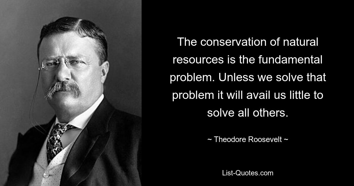 Die Schonung natürlicher Ressourcen ist das Grundproblem. Wenn wir dieses Problem nicht lösen, wird es uns wenig nützen, alle anderen zu lösen. — © Theodore Roosevelt 