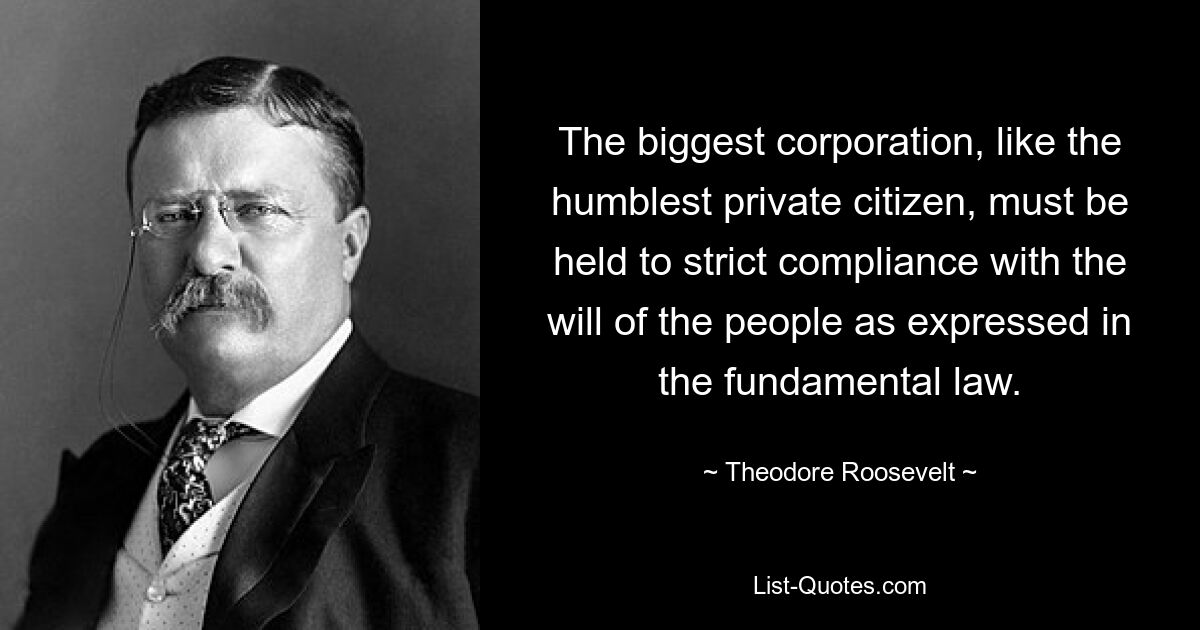 The biggest corporation, like the humblest private citizen, must be held to strict compliance with the will of the people as expressed in the fundamental law. — © Theodore Roosevelt