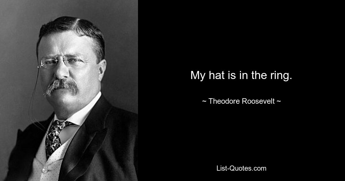 My hat is in the ring. — © Theodore Roosevelt