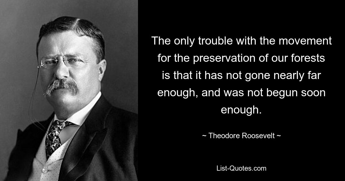 The only trouble with the movement for the preservation of our forests is that it has not gone nearly far enough, and was not begun soon enough. — © Theodore Roosevelt