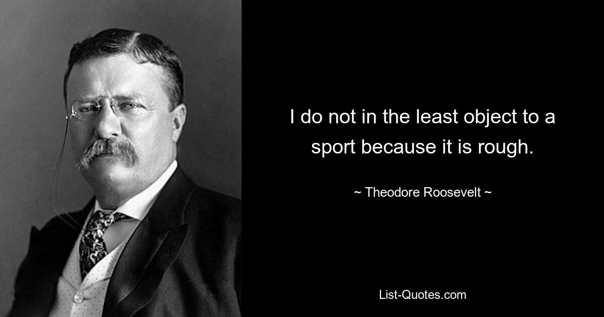 I do not in the least object to a sport because it is rough. — © Theodore Roosevelt