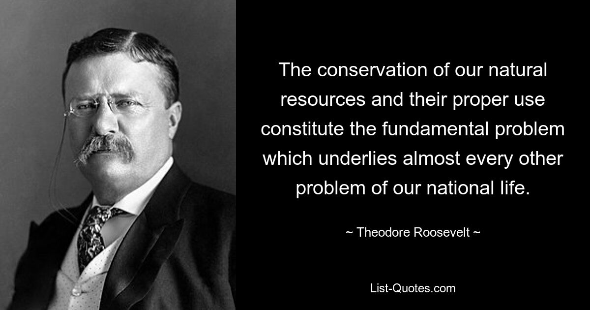 The conservation of our natural resources and their proper use constitute the fundamental problem which underlies almost every other problem of our national life. — © Theodore Roosevelt