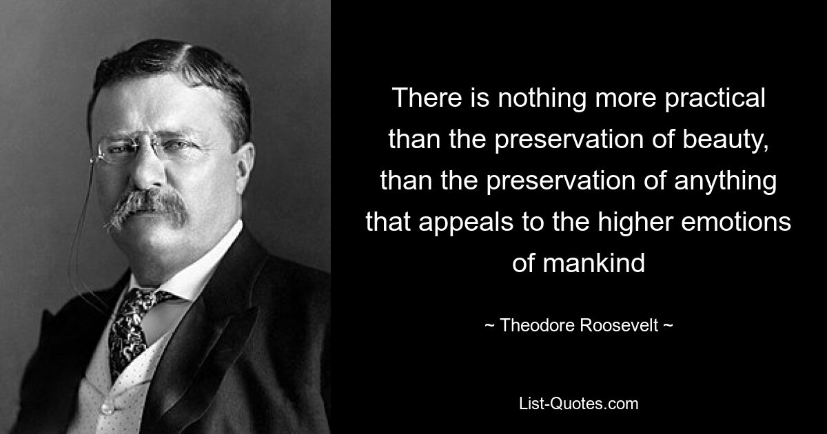 There is nothing more practical than the preservation of beauty, than the preservation of anything that appeals to the higher emotions of mankind — © Theodore Roosevelt