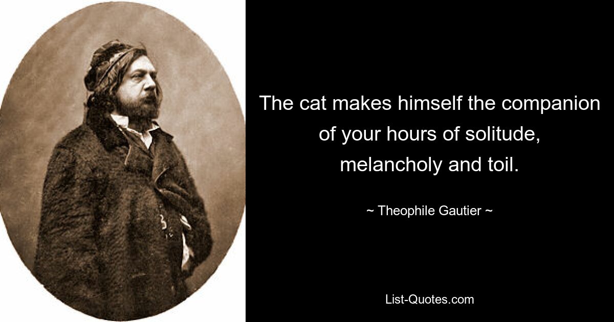 Кот станет спутником ваших часов одиночества, меланхолии и тяжелого труда. — © Теофиль Готье 
