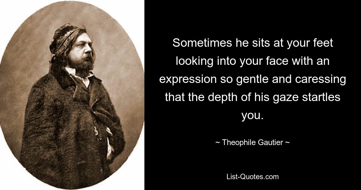 Sometimes he sits at your feet looking into your face with an expression so gentle and caressing that the depth of his gaze startles you. — © Theophile Gautier