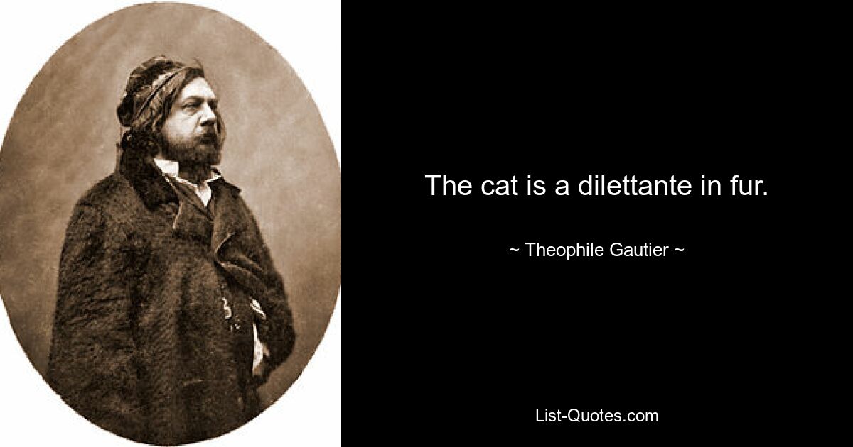 The cat is a dilettante in fur. — © Theophile Gautier