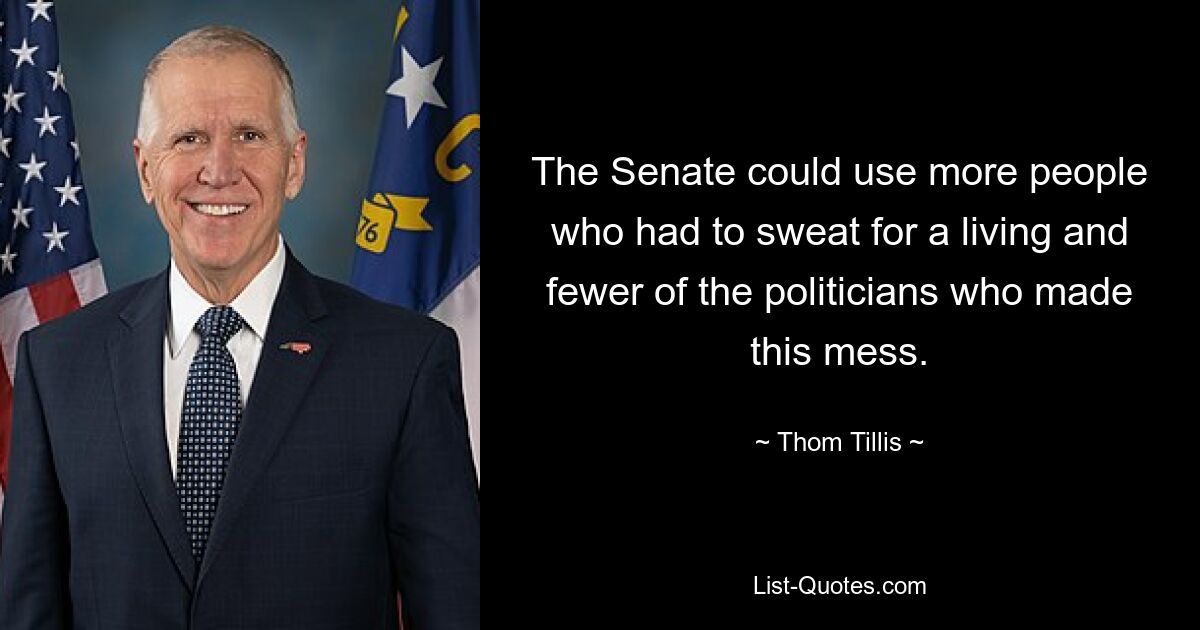 The Senate could use more people who had to sweat for a living and fewer of the politicians who made this mess. — © Thom Tillis