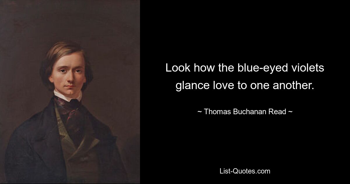 Look how the blue-eyed violets glance love to one another. — © Thomas Buchanan Read