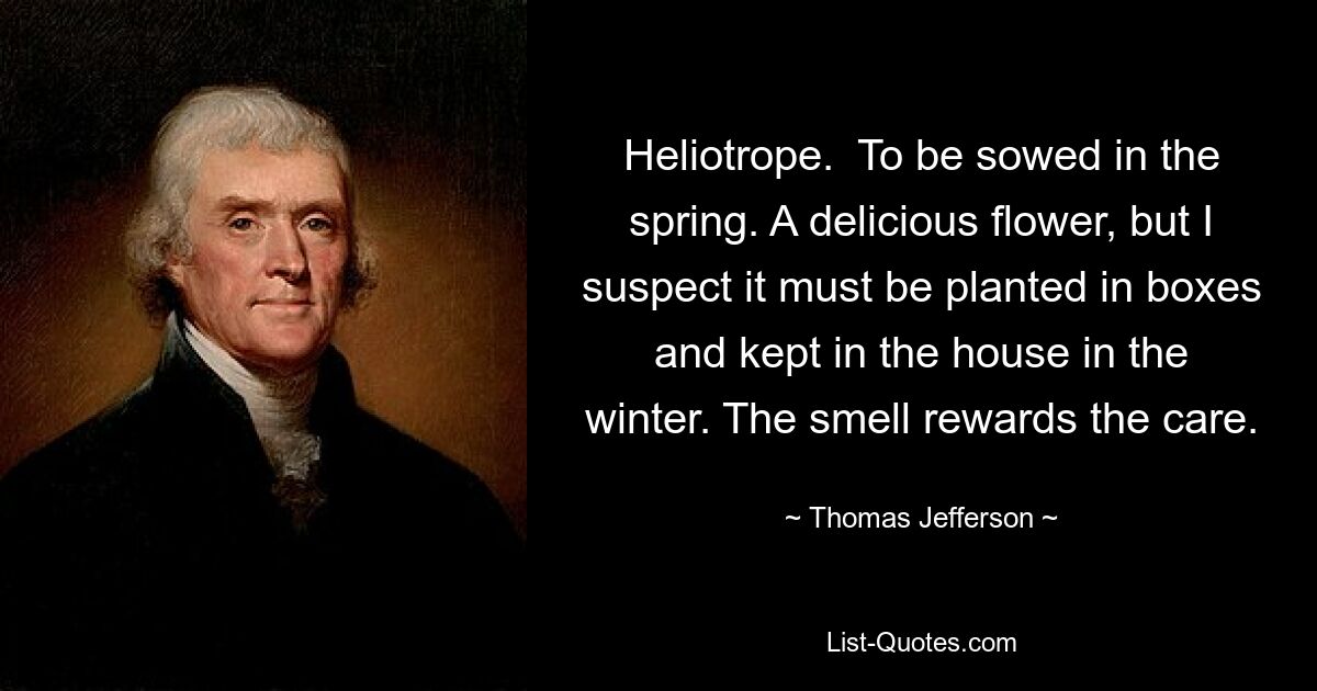 Heliotrope.  To be sowed in the spring. A delicious flower, but I suspect it must be planted in boxes and kept in the house in the winter. The smell rewards the care. — © Thomas Jefferson