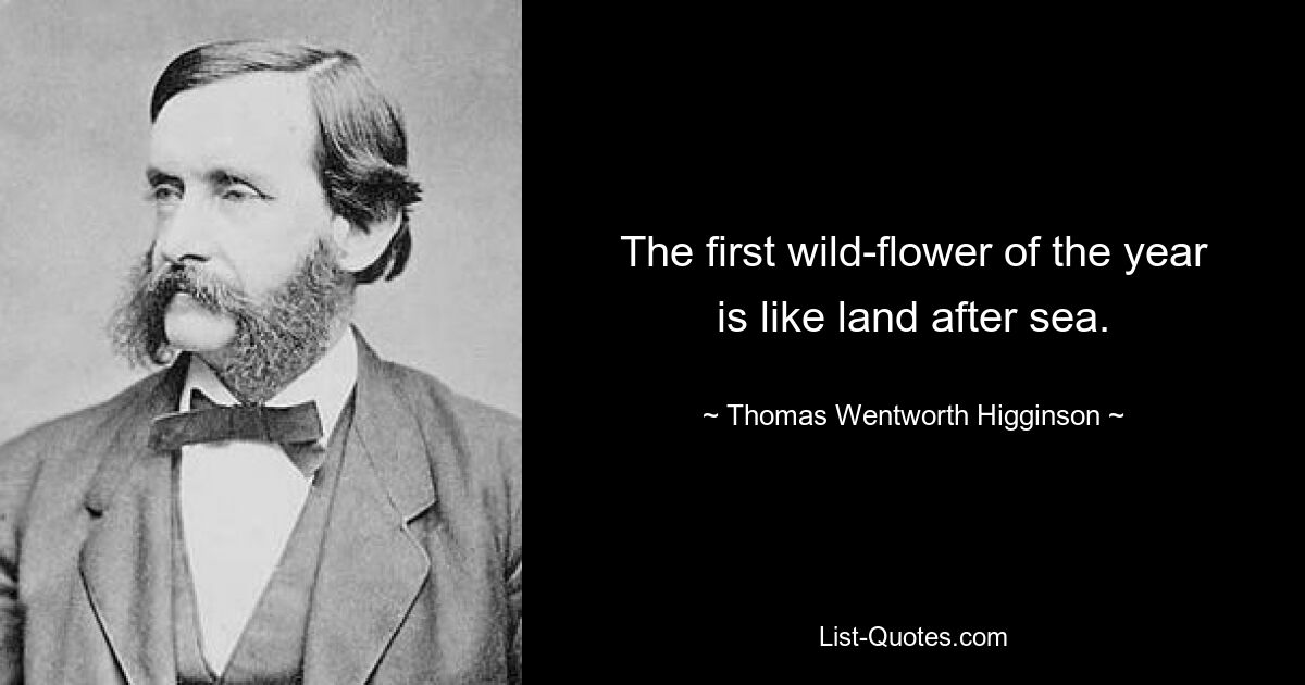 The first wild-flower of the year is like land after sea. — © Thomas Wentworth Higginson