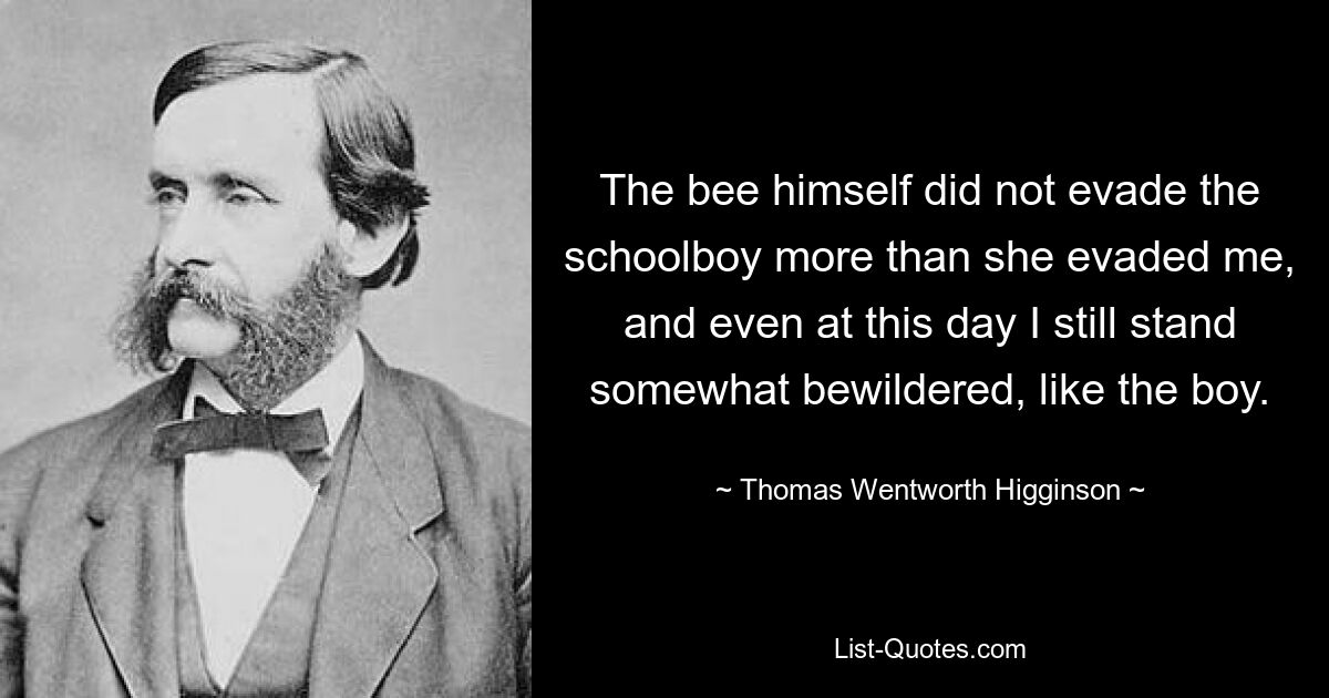 The bee himself did not evade the schoolboy more than she evaded me, and even at this day I still stand somewhat bewildered, like the boy. — © Thomas Wentworth Higginson