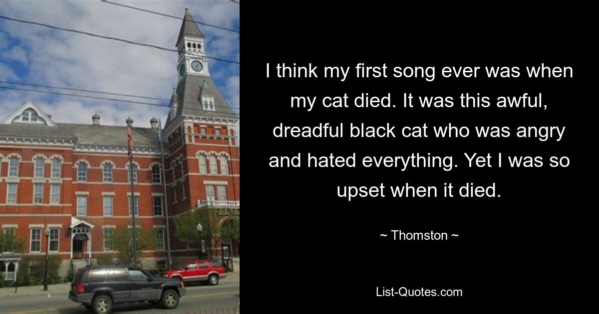 I think my first song ever was when my cat died. It was this awful, dreadful black cat who was angry and hated everything. Yet I was so upset when it died. — © Thomston