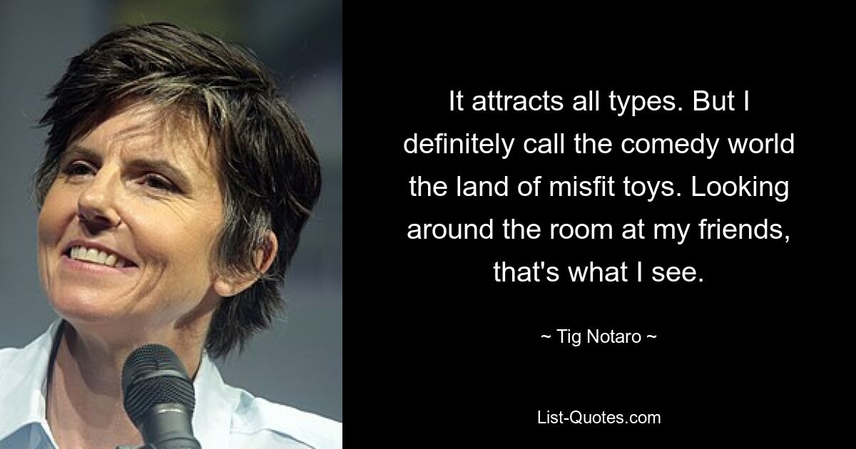 It attracts all types. But I definitely call the comedy world the land of misfit toys. Looking around the room at my friends, that's what I see. — © Tig Notaro