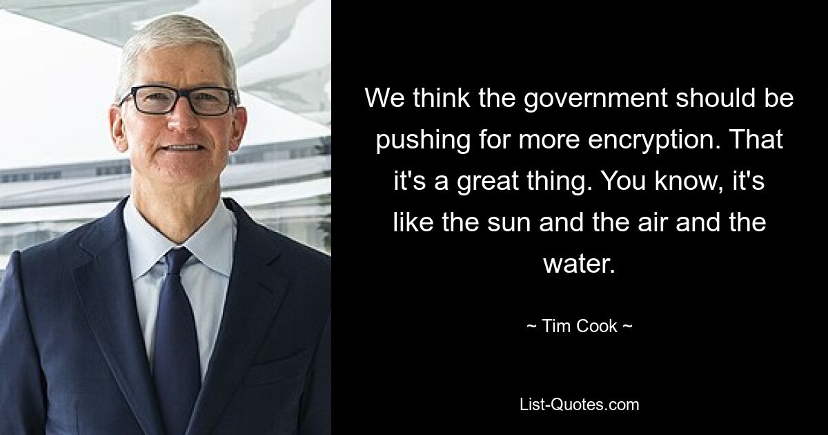 We think the government should be pushing for more encryption. That it's a great thing. You know, it's like the sun and the air and the water. — © Tim Cook