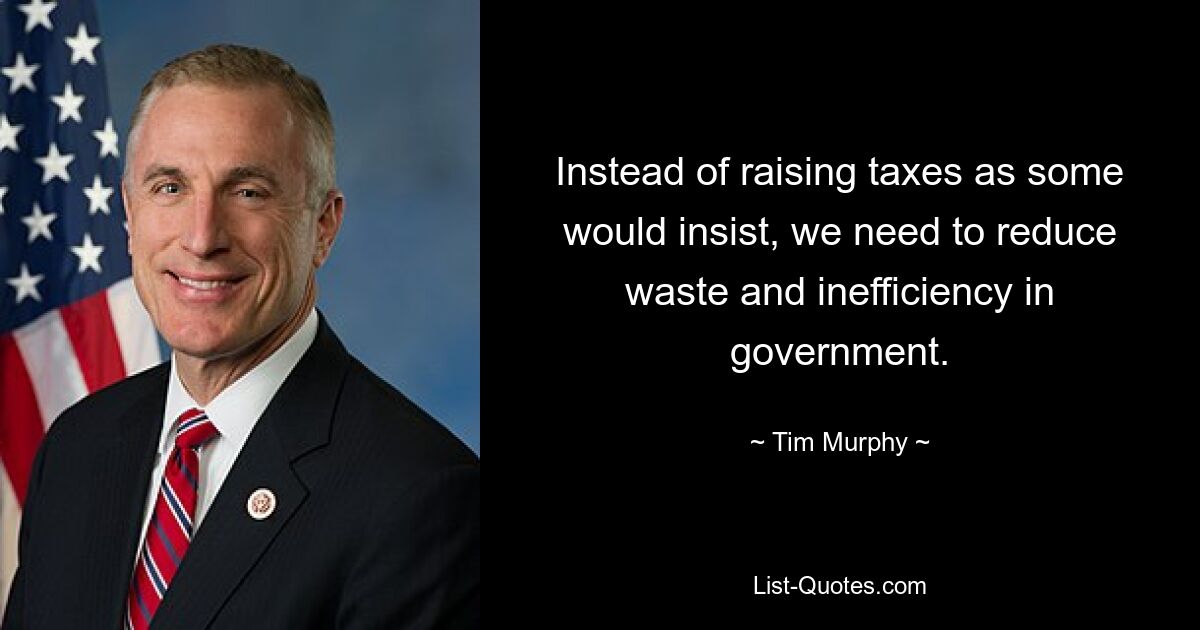 Instead of raising taxes as some would insist, we need to reduce waste and inefficiency in government. — © Tim Murphy