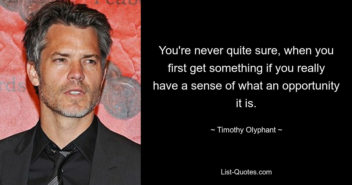 You're never quite sure, when you first get something if you really have a sense of what an opportunity it is. — © Timothy Olyphant