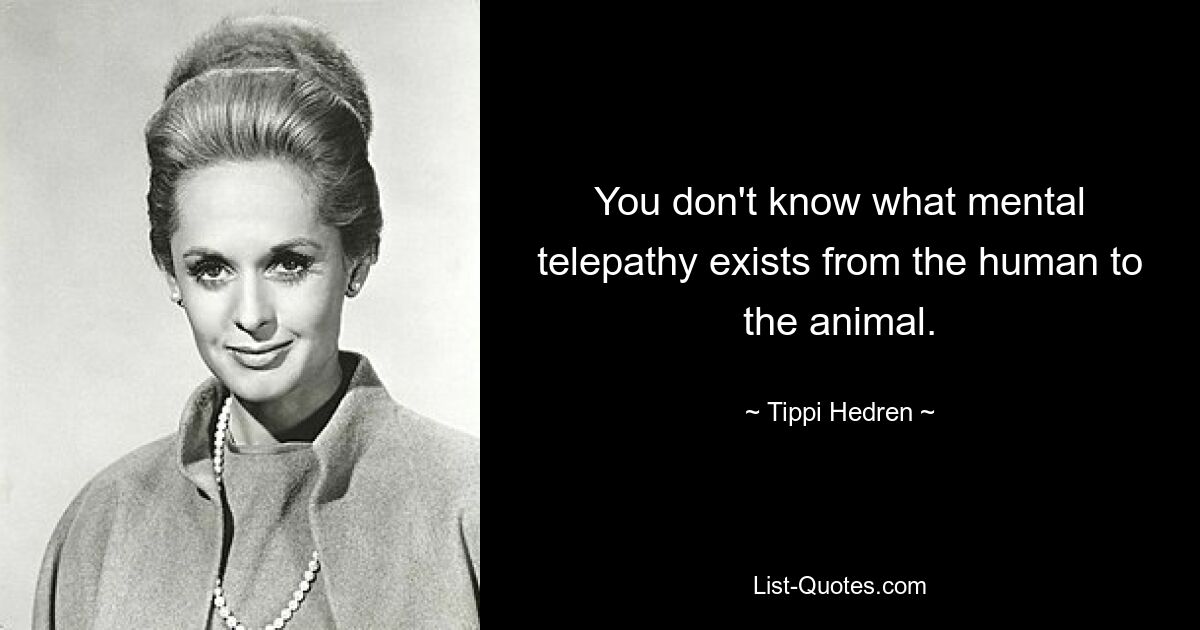 You don't know what mental telepathy exists from the human to the animal. — © Tippi Hedren