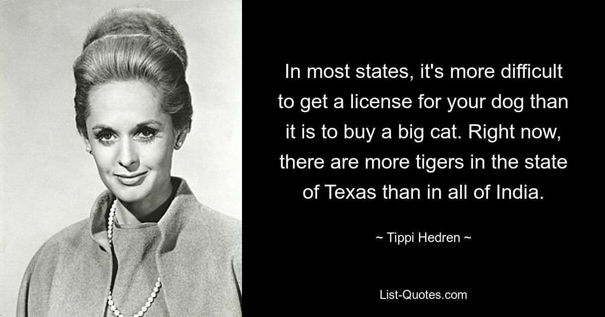 In most states, it's more difficult to get a license for your dog than it is to buy a big cat. Right now, there are more tigers in the state of Texas than in all of India. — © Tippi Hedren