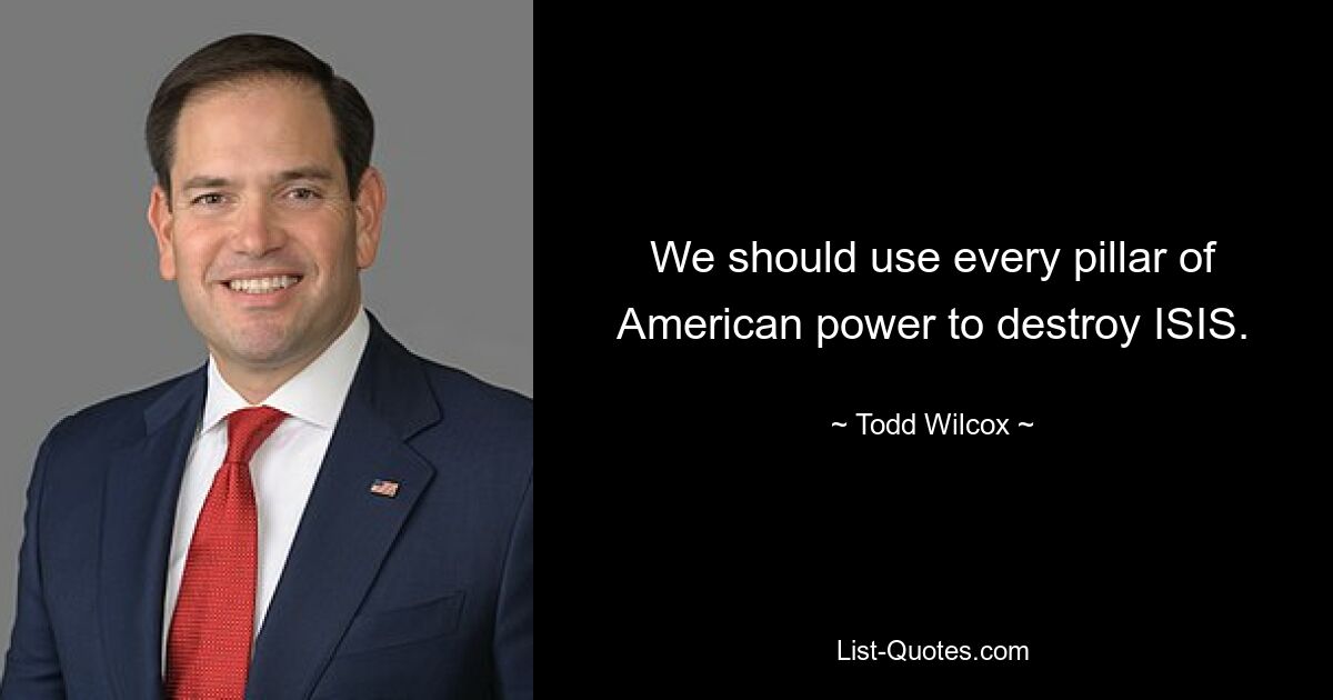 We should use every pillar of American power to destroy ISIS. — © Todd Wilcox